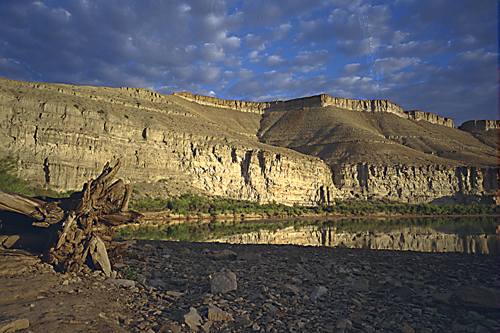 Driftwood on Green River