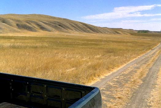 Scott's truck on dirt road