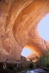 Arches in the Utah Desert